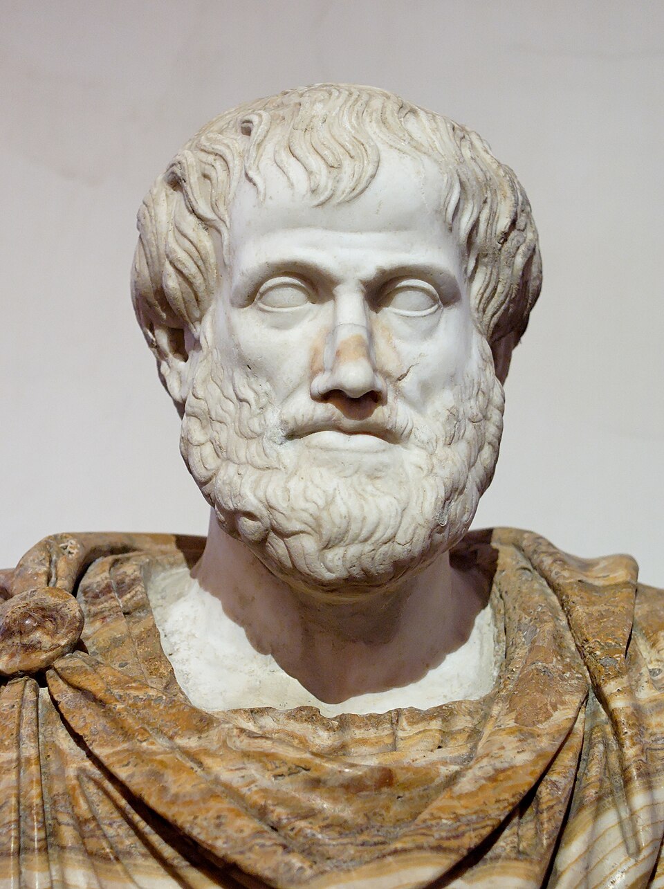 Portrait or sculpture representing Aristotle