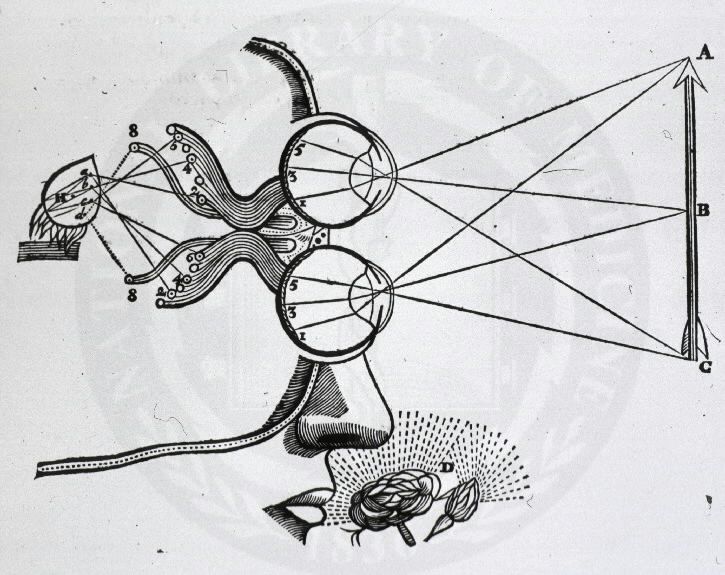 Conceptual representation of George Berkeley's theory of vision and perception