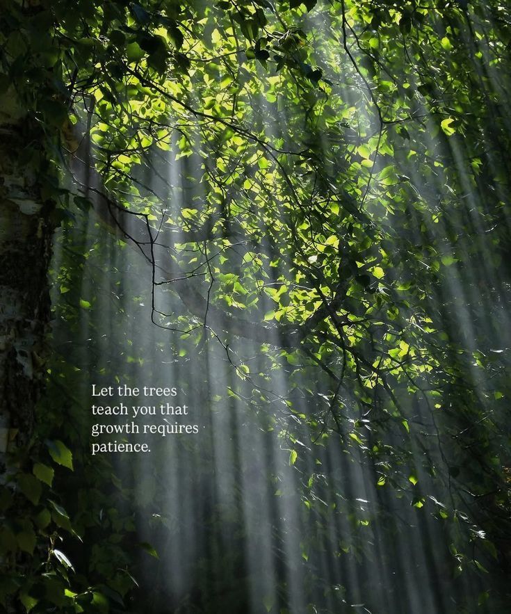 Ancient Greek philosophical poetry representing Parmenides' On Nature