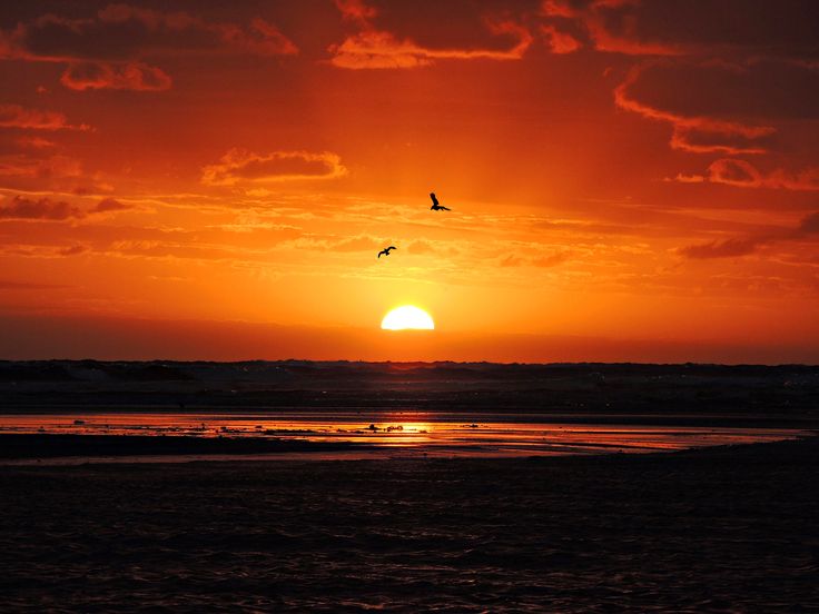 A sunrise over the horizon